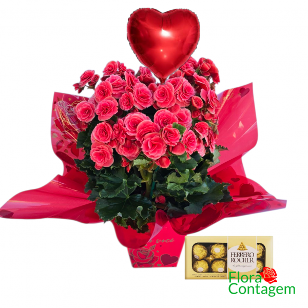  Begônias , balão Coração e Chocolates Ferrero Rocher