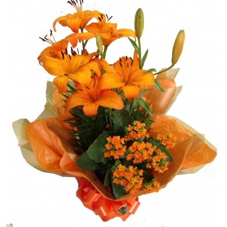 Lirios Laranja para Presentear