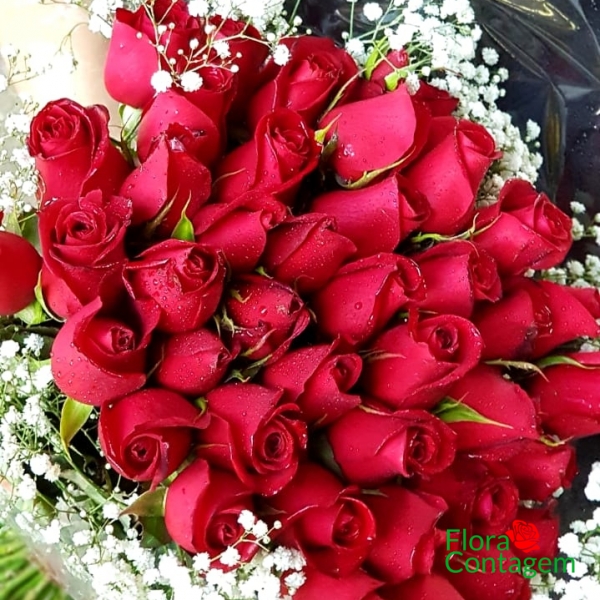 Buquê 36 Rosas Vermelhas