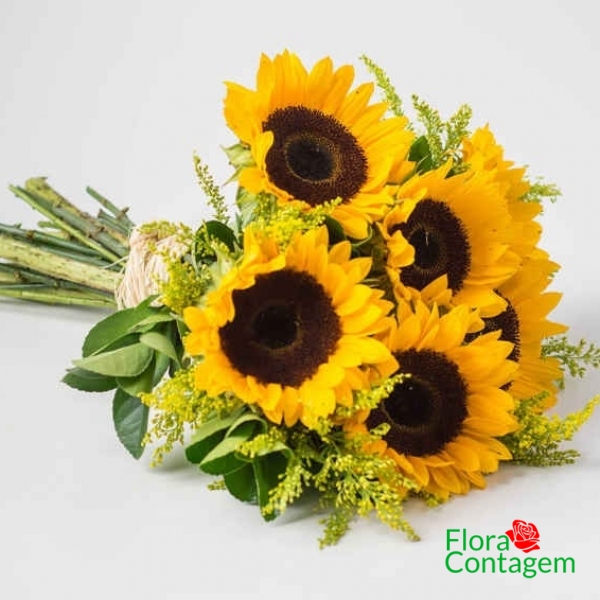 Buquê de 5 Girassois
