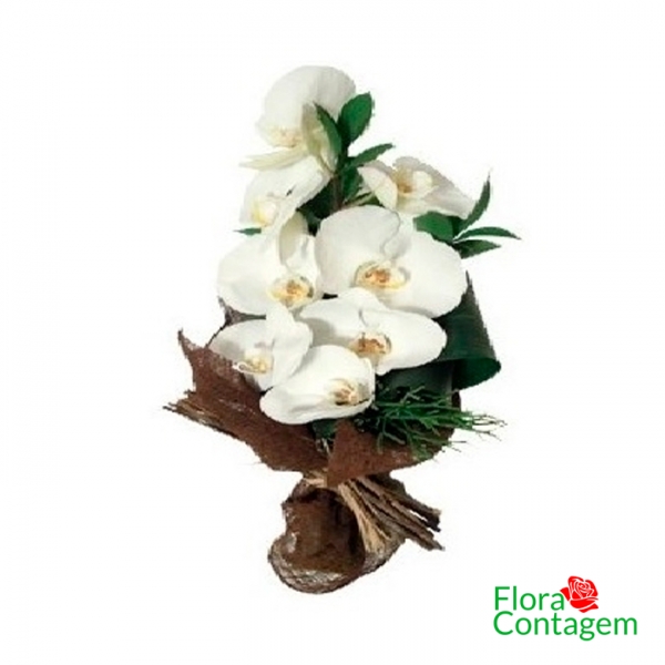 Buquê de Orquídeas