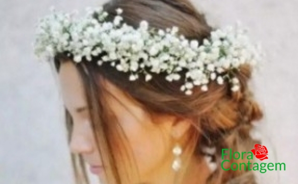 Guirlanda de Mosquitinho Gypsophila