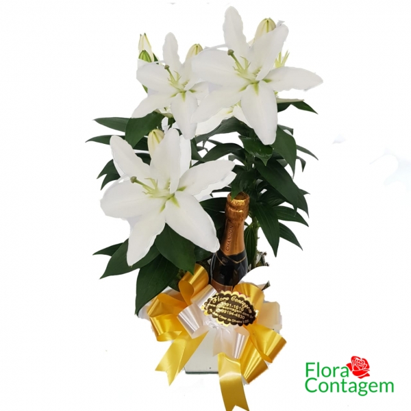 Lírio Branco Plantado e  Espumante Chandon Baby
