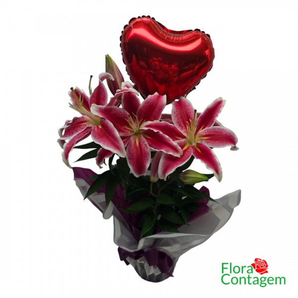 Lírio Rosa Plantado e Balão de Coração