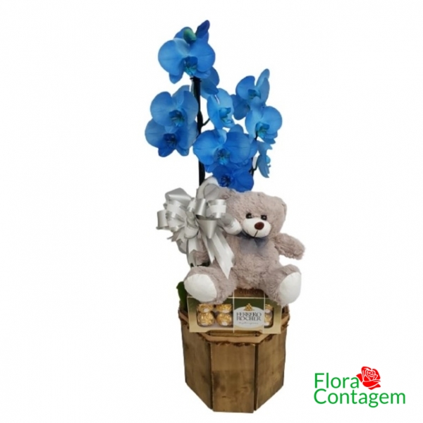 Orquidea  Azul, Pelúcia e Chocolates