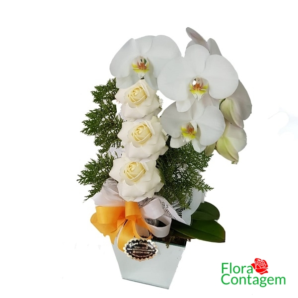 Orquidea Phalaenopsis e Rosas 
