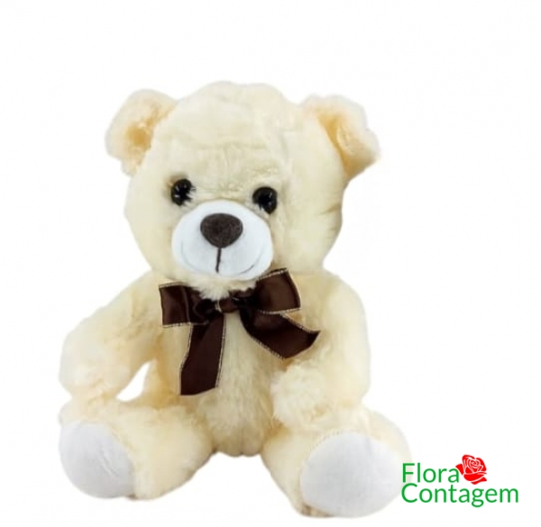 Pelúcia Urso