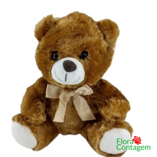 Urso Pelúcia Classic